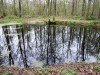 DP_2194