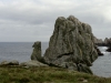 RB DSC03276