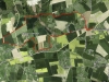 Flancourt-Catelon-1