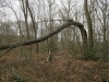 rando_0077