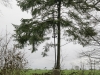 rando_0091