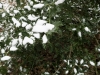 rando_0169