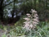 seineBG6A0315