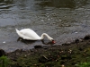 seine_G6A0331
