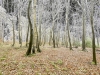 potierB_9716
