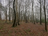 potier_9716