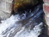 RB-DSCN3018