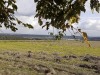 RB_20211012_151617