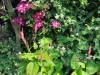 Resized_20210719_093529
