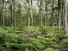 RB_6024