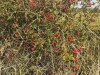 Resized_20211011_141717