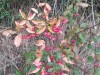 Resized_20211011_170105