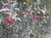 Resized_20211011_170109