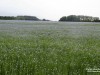 IMG_6307