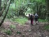 IMG_81301
