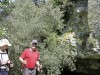 RB-BUOUX_8006