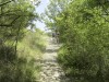 RB-BUOUX_8025