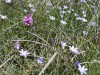RB-BUOUX_8031