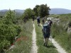 RB-BUOUX_8056