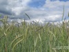 IMG_6140