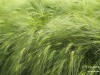 IMG_6148