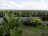 IMG_0039