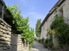 JOUCAS_8099