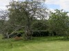 RB_9268