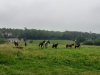 MCD_20220523_151314