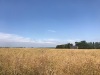 IMG_81511