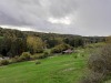 RB-20221024_140654