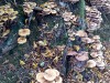 RB_20221024_151941