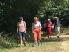 IMG_80581