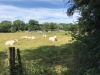 IMG_80601