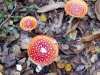 RB_20221010_143153
