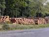 RB_20221010_144559