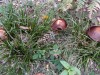 RB_20221010_151723