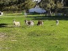 RB_20221011_145111