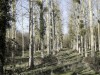 DP_2679
