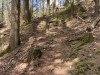 P-2023-05-02-CERISY-BELLE-ETOILE-IPHONE-GGG