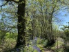 2023-05-03-LA-BUTTE-ROUGE-24