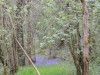 2023-05-04-BLOG-BENY-BOCAGE-13