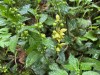 2023-05-04-BLOG-BENY-BOCAGE-21