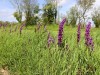 2023-05-04-BLOG-BENY-BOCAGE-22