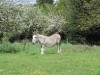 2023-05-04-BLOG-BENY-BOCAGE-32