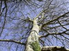 DP_2626
