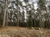 rando_0006