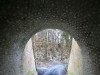 RB07_3535