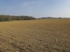 RB_3583