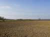 RNPAN_3587
